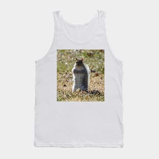 Wildlife gifts, eastern ground squirrel, nature, wild animals Tank Top